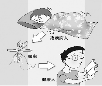 菠菜app有哪些
