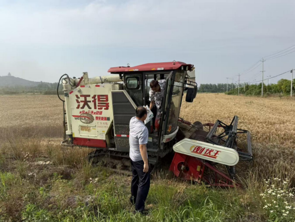 菠菜app有哪些